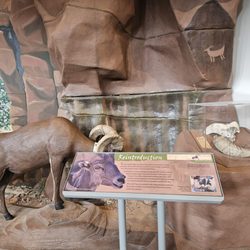 Escalante Interagency Visitor Center - Exhibits