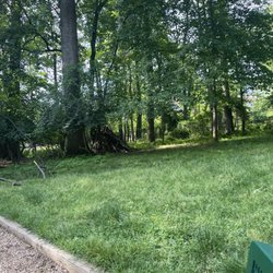 Tysons Woods Park - A fort