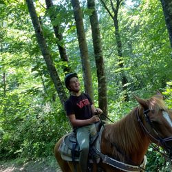 Dutch Creek Trails - Trail horseback riding