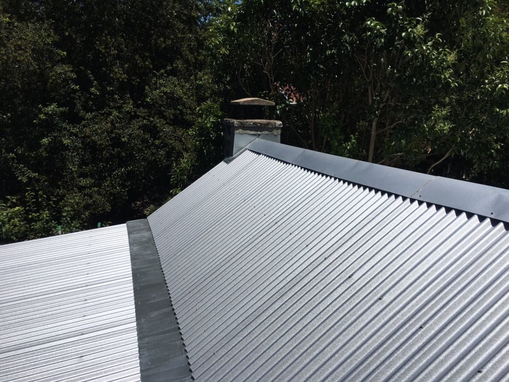 Slide of Roofer Chicks