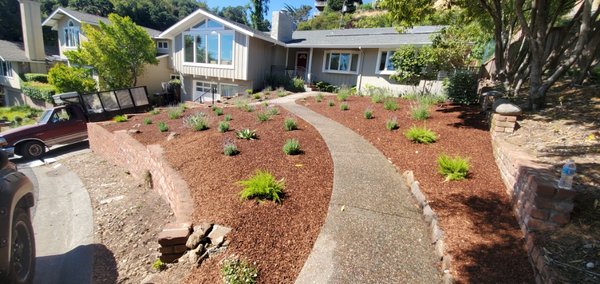 Curb appeal with new landscaping! - We make homes fronts and backyards look beautiful with new trees/plants/gardens! Curb appeal with new landscaping! - We make homes fronts and backyards look beautiful with new trees/plants/gardens!