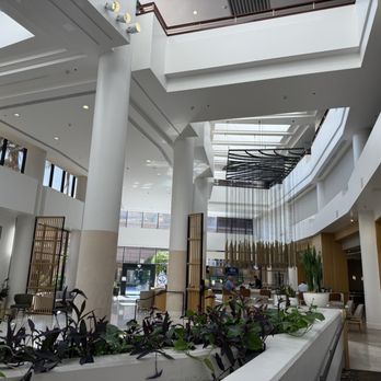 The Westin Long Beach - Hotel lobby - Hotels Near Me - Long Beach, California The Westin Long Beach - Hotel lobby - Hotels Near Me - Long Beach, California