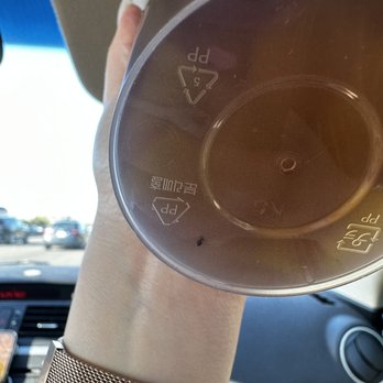 Ume Tea - ant - Coffee & Tea Near Me - Cupertino, California