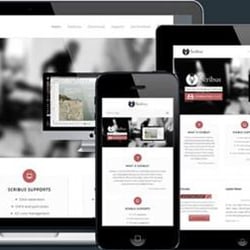 Media Saga Social SEO - Making sure your website looks right on tablets, phones and computers as well as different browsers and resolutions is important