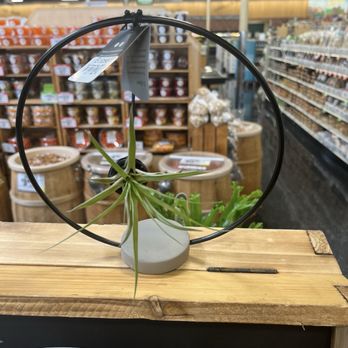 Sprouts Farmers Market - Air plants! - Grocery Near Me - Monrovia, California