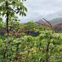 Photo of Kaipapau-Koloa Loop
