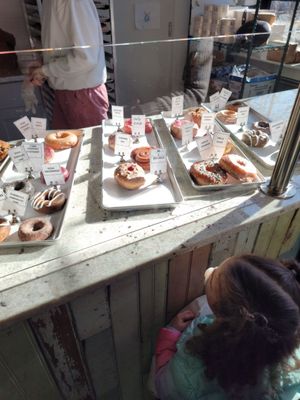 KNEAD Doughnuts by null