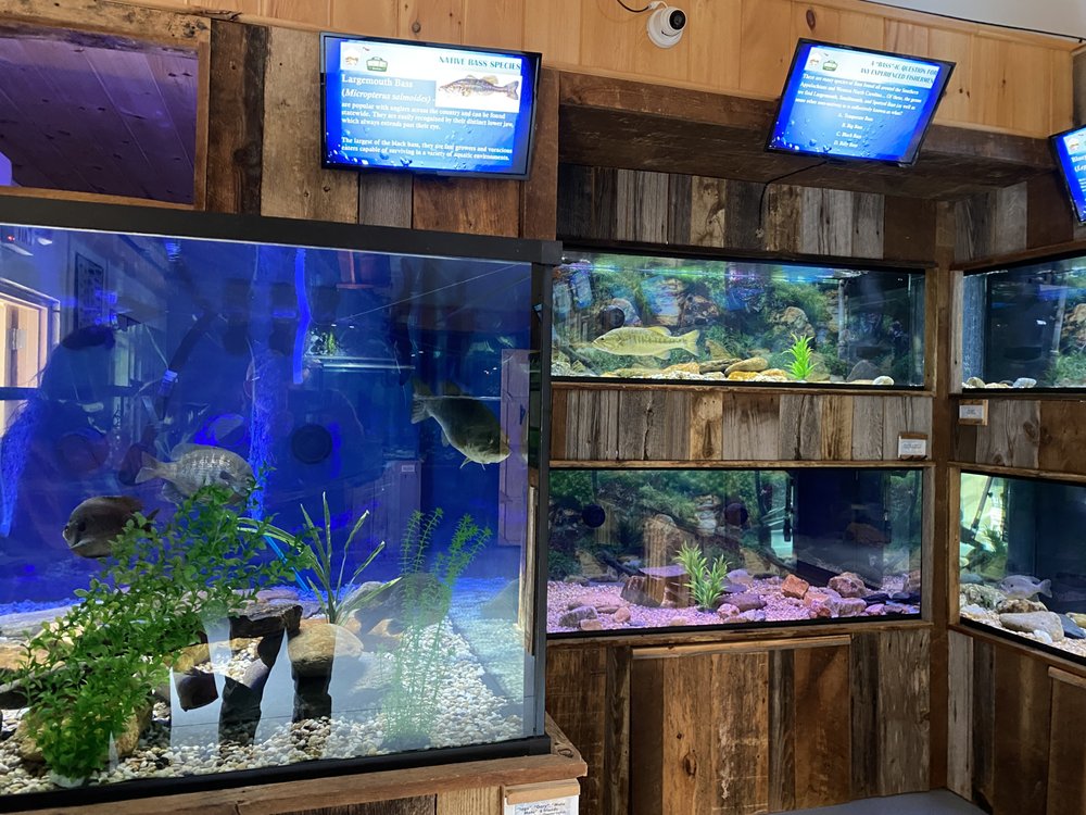 Appalachian Rivers Aquarium Logo
