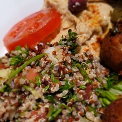Troy Mediterranean Cuisine