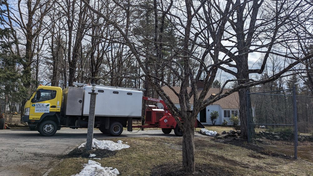 Apical Arboriculture - tree service in Peterborough, NH