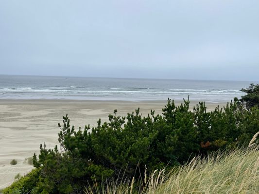 Agate Beach Motel by null