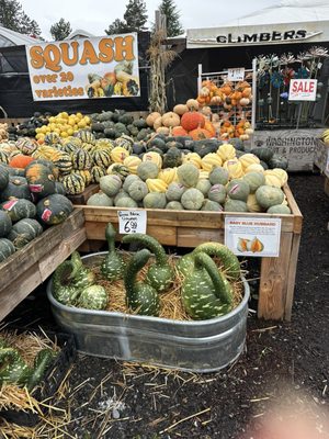 Newcastle Fruit & Produce Co. by null