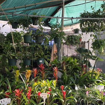 Nelson's Greenhouse - Nurseries & Gardening Near Me - Canoga Park, California Nelson's Greenhouse - Nurseries & Gardening Near Me - Canoga Park, California