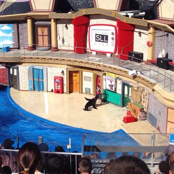 Sea Lions Live - Sea lion swing dancing--soo cool! - Performing Arts Near Me - San Diego, California Sea Lions Live - Sea lion swing dancing--soo cool! - Performing Arts Near Me - San Diego, California