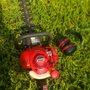 Photo of Jackson Landscapes