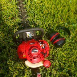 Jackson Landscapes