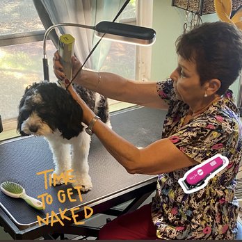 Cozy Doggie House - Gromming Tme!! - Pet Groomers Near Me - Clearwater, Florida Cozy Doggie House - Gromming Tme!! - Pet Groomers Near Me - Clearwater, Florida