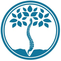 Andrews Chiropractic