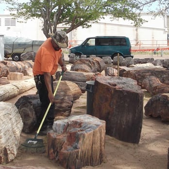 OK RV Park - Petrified Wood Collection - Campgrounds Near Me - Holbrook, Arizona OK RV Park - Petrified Wood Collection - Campgrounds Near Me - Holbrook, Arizona