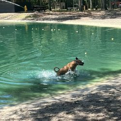 Poochie's Park