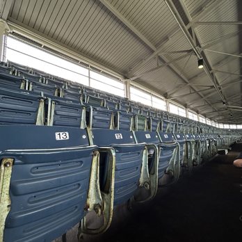Wrigley Field - The old school seats in the upper deck - Stadiums & Arenas Near Me - Chicago, Illinois Wrigley Field - The old school seats in the upper deck - Stadiums & Arenas Near Me - Chicago, Illinois