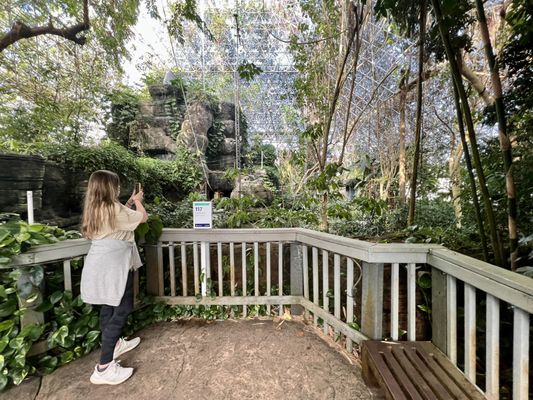 Biosphere 2 by null