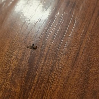 Rohcs Property Management - Termite - Property Management Near Me Rohcs Property Management - Termite - Property Management Near Me
