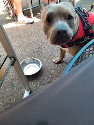 Washington Square Bar & Grill by null