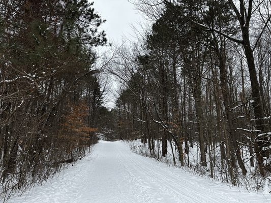 Maybury State Park by null