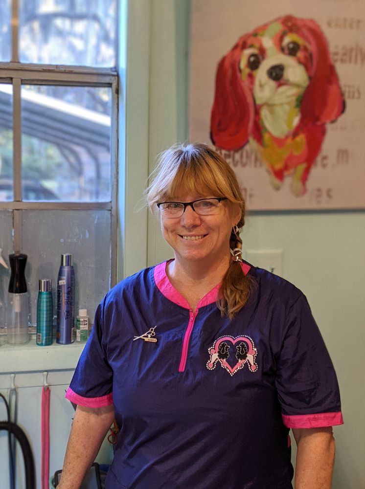 CLASSIC K9 CLIPS Updated August 2024 Darien, Pet Groomers Phone Number Yelp