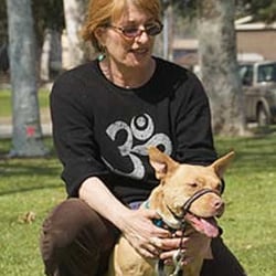 Handle With Care Dog Training - Working with Dottie Mae