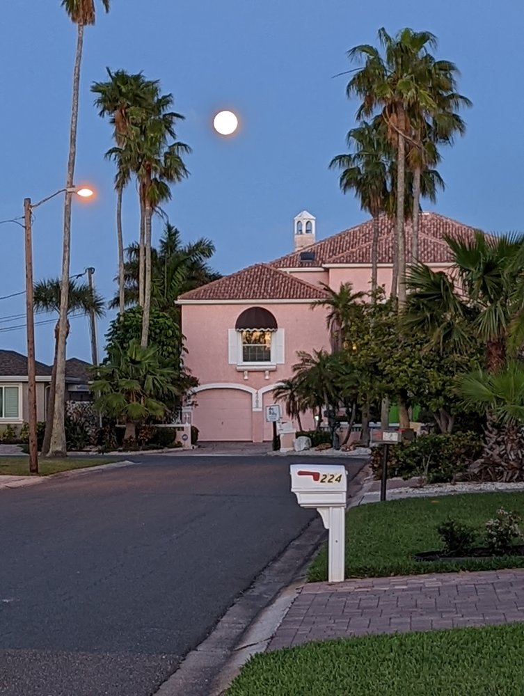 Evergreen Tree & Shrub - tree service in Brooklyn, NY