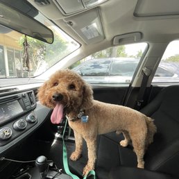 After haircut