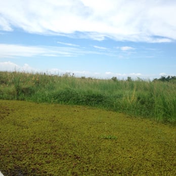 Cajun Style Swamp Tours - Tours Near Me - Marrero, Louisiana Cajun Style Swamp Tours - Tours Near Me - Marrero, Louisiana
