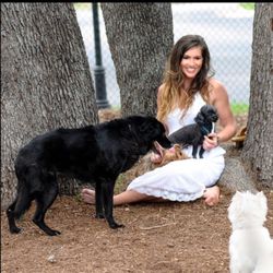 Ole Sante Holistic Arts & Wellness Enhancement - I love animals and they love reiki experiences.