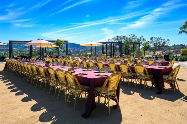 Shadybrook Estate Winery by null