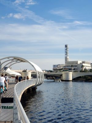 Tampa Riverwalk by null