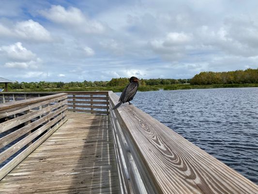 Green Cay Nature Center & Wetlands by null