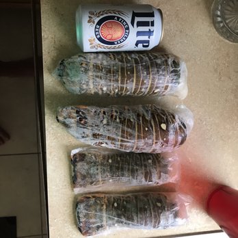 Direct Seafood Outlet - Florida lobster tails - Seafood Markets Near Me - Melbourne, Florida Direct Seafood Outlet - Florida lobster tails - Seafood Markets Near Me - Melbourne, Florida