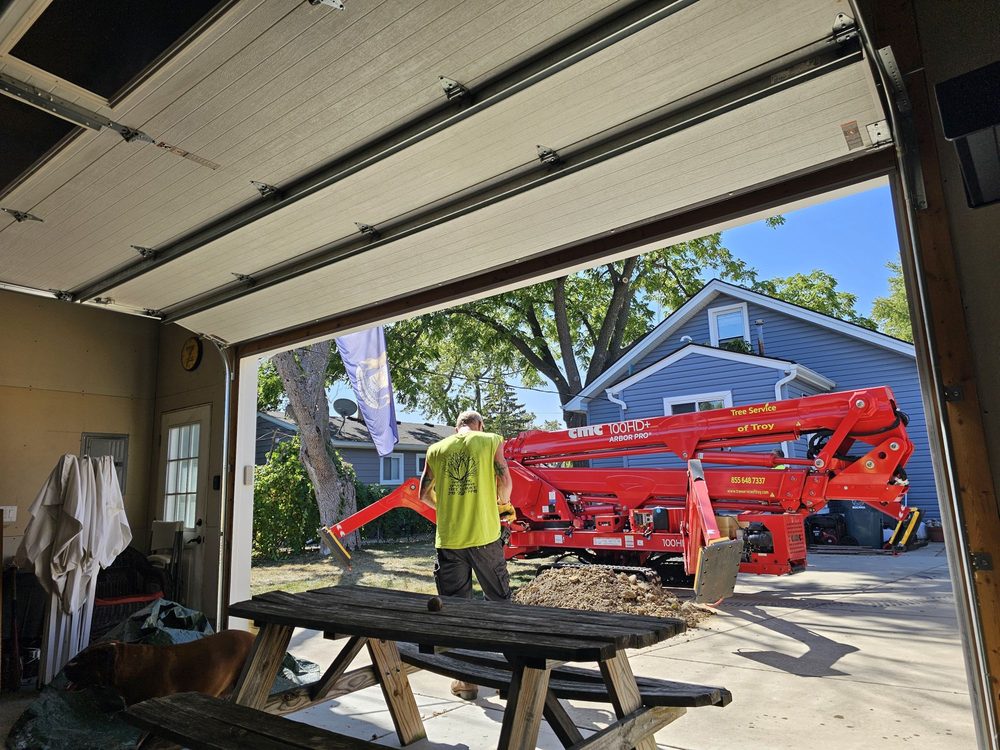 Aamazing Spyderman Tree Service - tree service in Hazel Park, MI