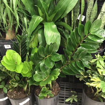 Meijer - Department Stores Near Me - Rochester Hills, Michigan