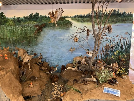 Shipley Nature Center by null