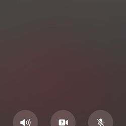 Spectrum - Hold time on the phone.