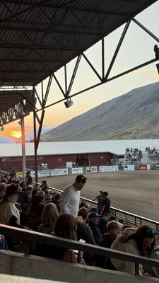 Jackson Hole Rodeo by null