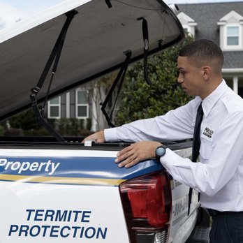 Massey Services - Pest Control Near Me - Pompano Beach, Florida Massey Services - Pest Control Near Me - Pompano Beach, Florida
