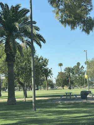 Pioneer Park by null