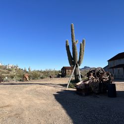 Vulture Mine Preservation & Restoration
