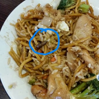 Panda Palace - Roach found in my food at the Gulfport, MS Panda Palace. - Chinese Near Me - Gulfport, Mississippi Panda Palace - Roach found in my food at the Gulfport, MS Panda Palace. - Chinese Near Me - Gulfport, Mississippi