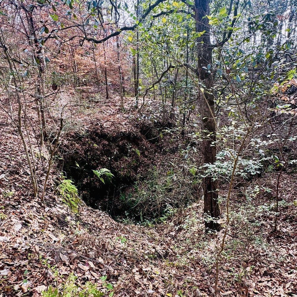 Falling Waters State Park - Lots of sinkholes, here was one of the bigger ones - Parks Near Me - Chipley, Florida Falling Waters State Park - Lots of sinkholes, here was one of the bigger ones - Parks Near Me - Chipley, Florida