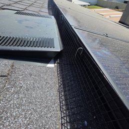 Bird proofing Bird proofing